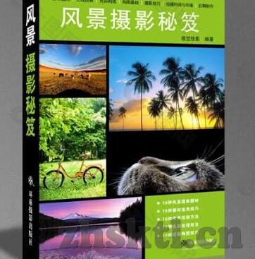 大象传媒大片免费-免费大象传媒大片的网络奇观，一场视觉盛宴的背后